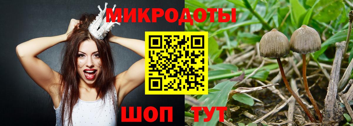 Псилоцибиновые грибы Psilocybe Рославль