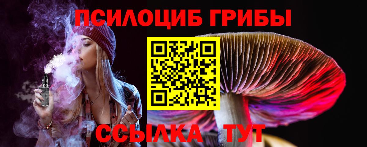 Рославль  Псилоцибиновые грибы мухоморы  Вход с VPN 